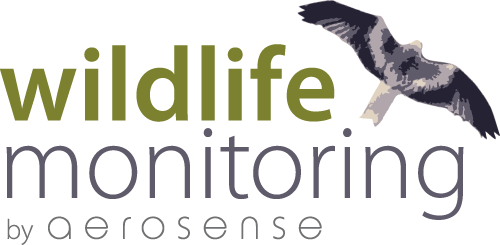 wildlife monitoring by aerosense